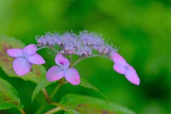 散歩の途中で。④