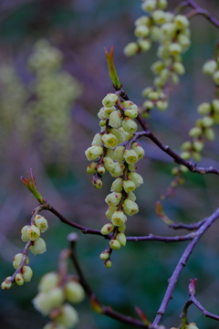 散歩の途中で。Ⅷ