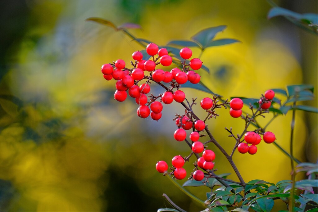 散歩の途中で。６