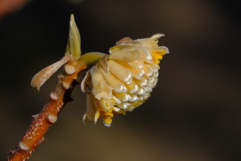 散歩の途中で。Ⅵ