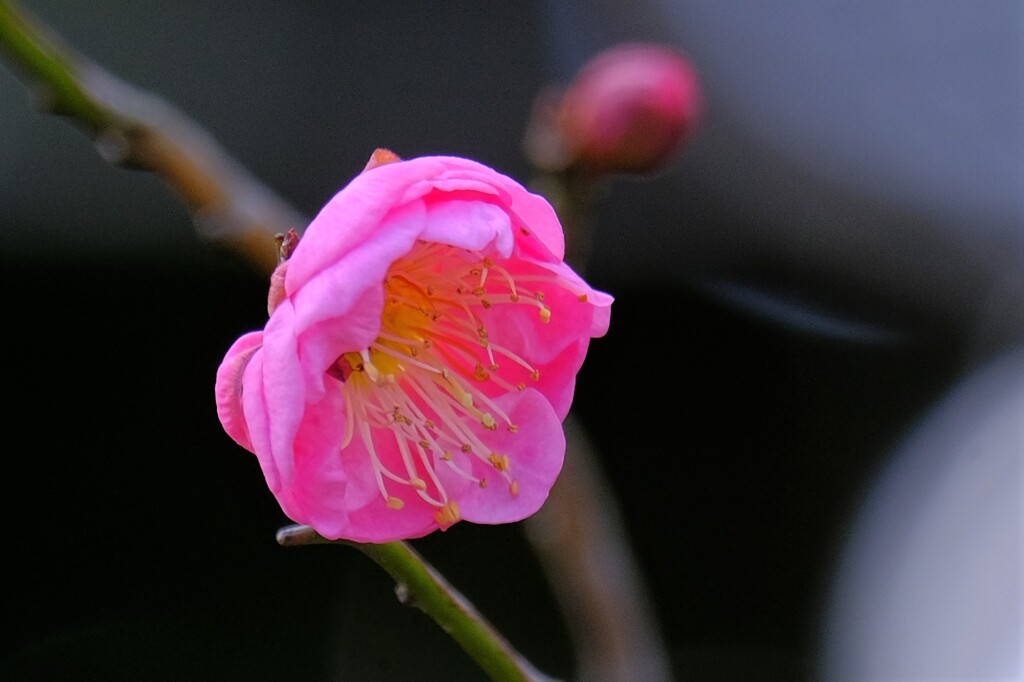 散歩の途中で。Ⅴ