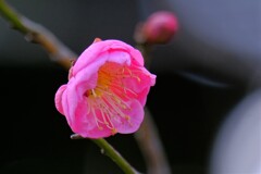 散歩の途中で。Ⅴ