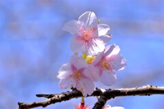 散歩の途中で。４