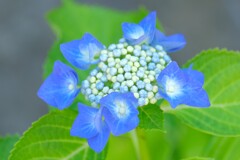 散歩の途中で。