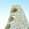 CSC_0495