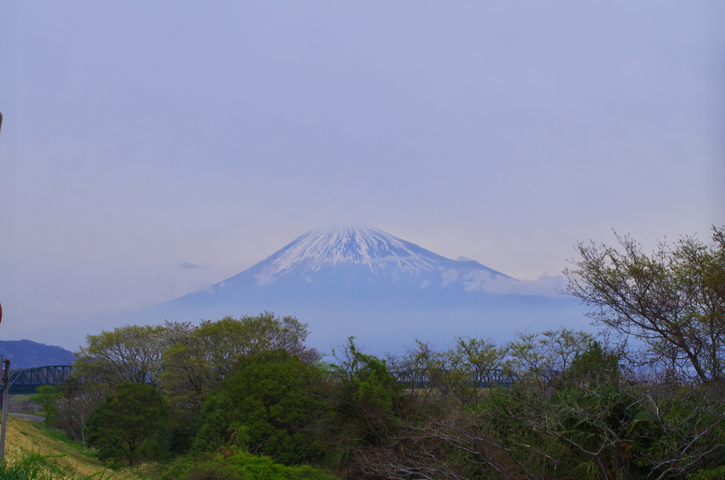 富士川より