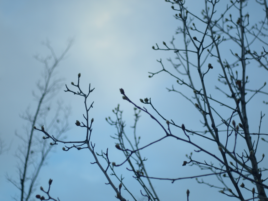winter silence