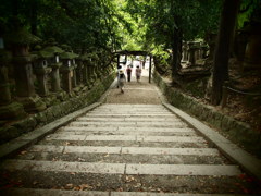 道