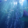 京都水族館