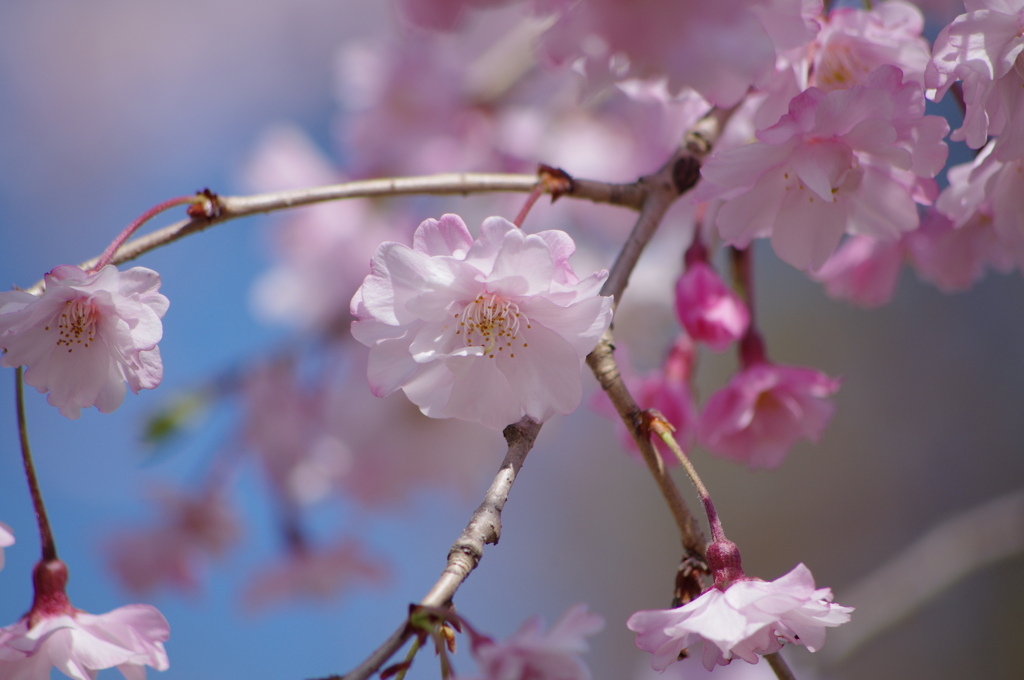 寄ってみました