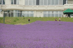 ２０１０年富良野にて