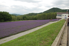 ２０１０年富良野にて