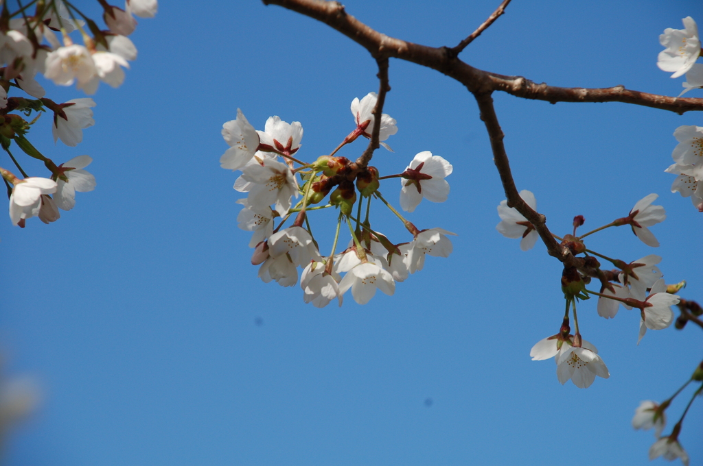 戸田記念公園にて③