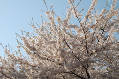 戸田記念公園にて⑦