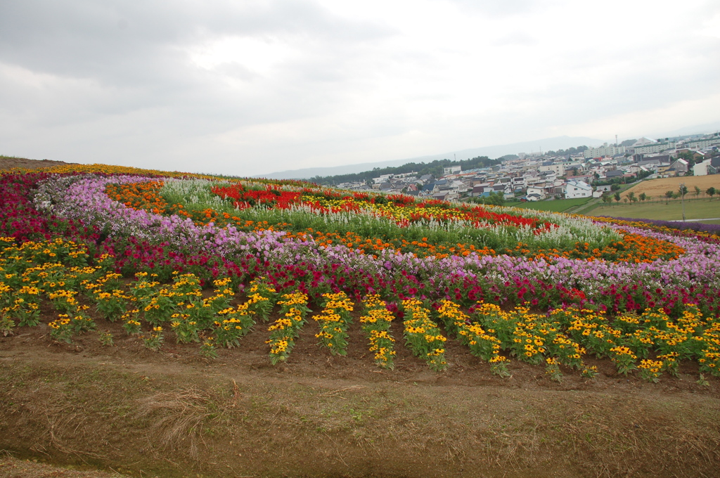 ２０１０年富良野にて