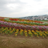 ２０１０年富良野にて
