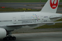 スカイツリー塗装機