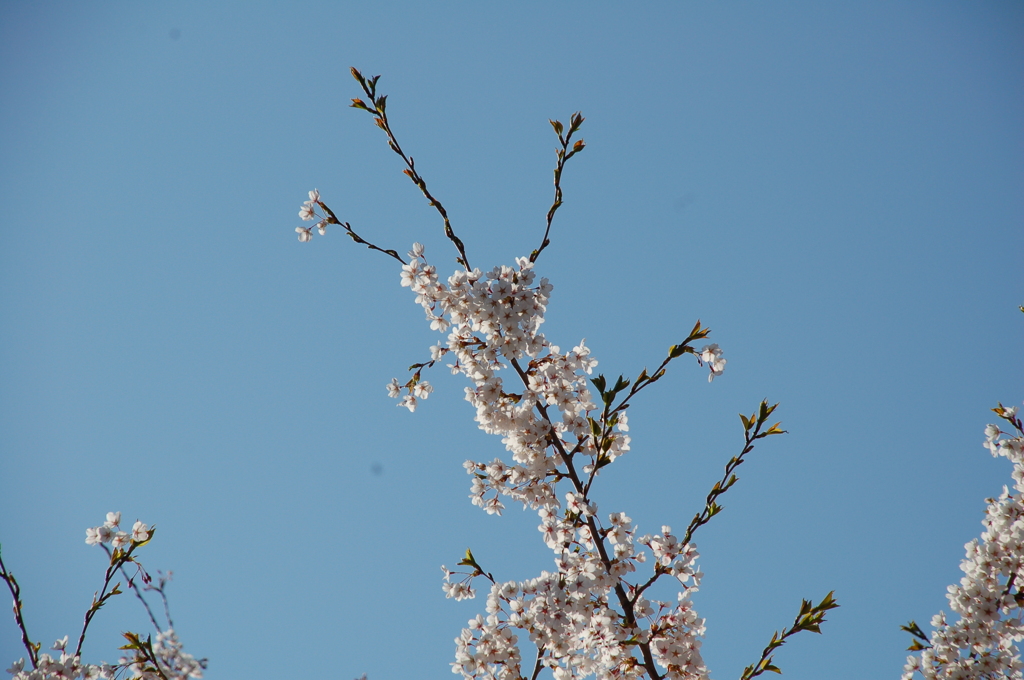 戸田記念公園にて⑥