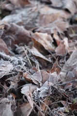 one freezing cold day