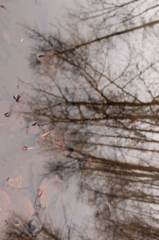 reflection