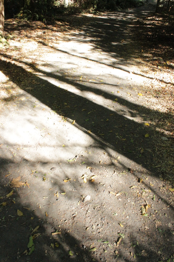 fall is here.