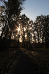 almost end of fall....