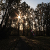 almost end of fall....