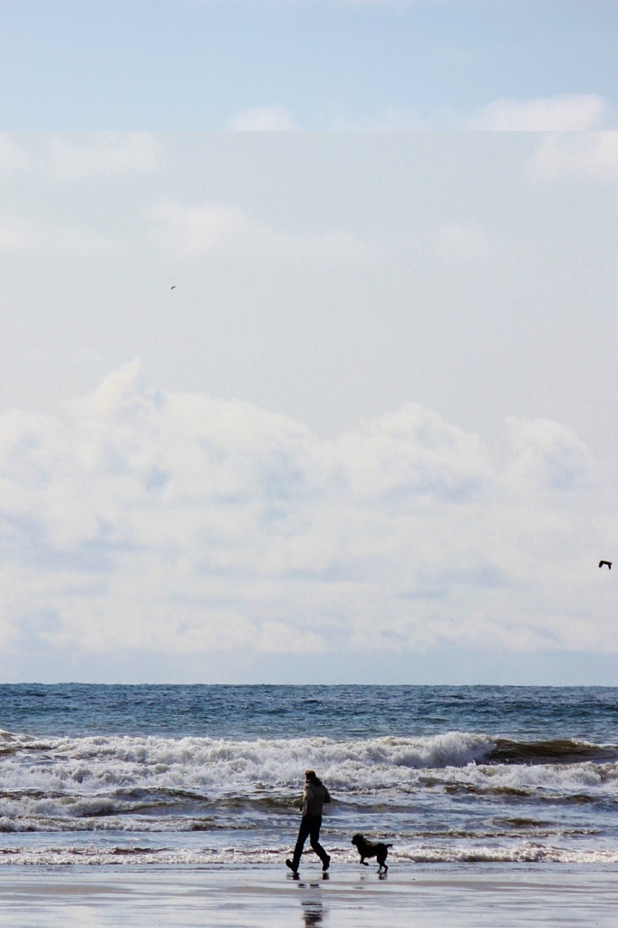 chasing the waves