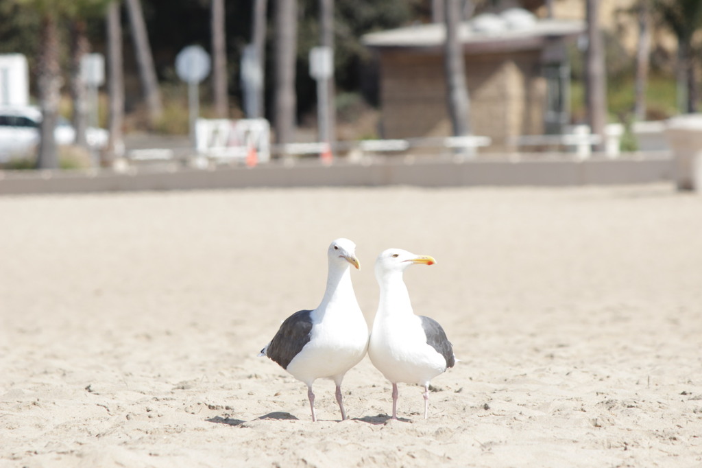 just two of us