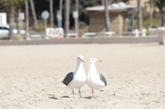 just two of us