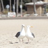 just two of us