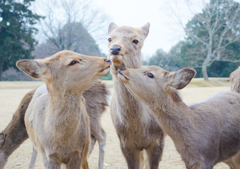 なかよし3人組