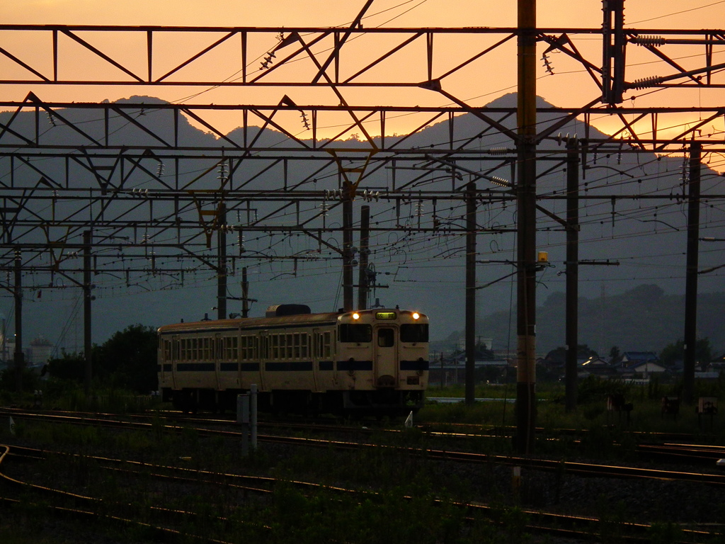 田舎からの帰還