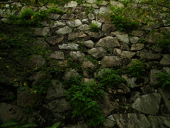 石垣