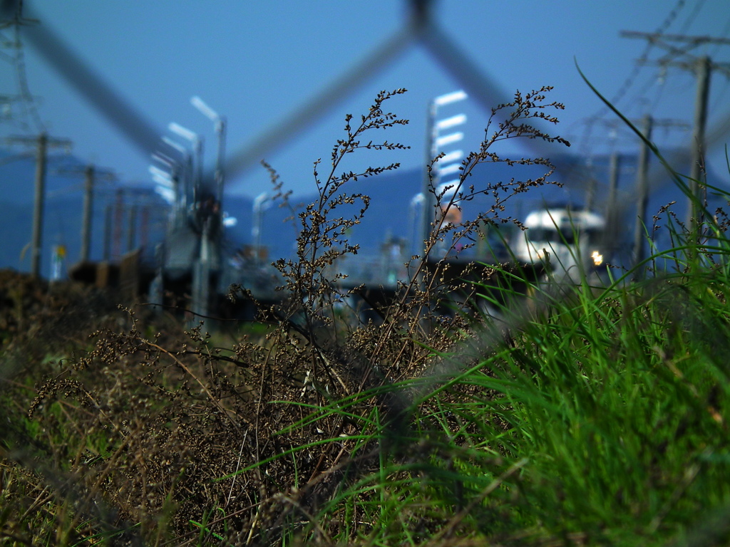 Railroad