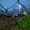 Railroad