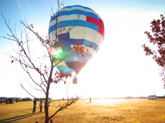 Balloon flight