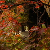 紅葉灯篭