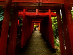 鳥居　ノイズ除去