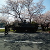 日本を見守る