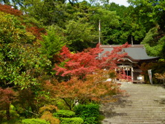 秋色ノ神社