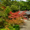 秋色ノ神社