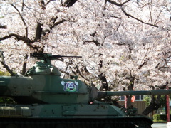 同期の桜