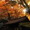 晩秋の色彩　＜瑞泉寺４＞