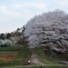 里山の春