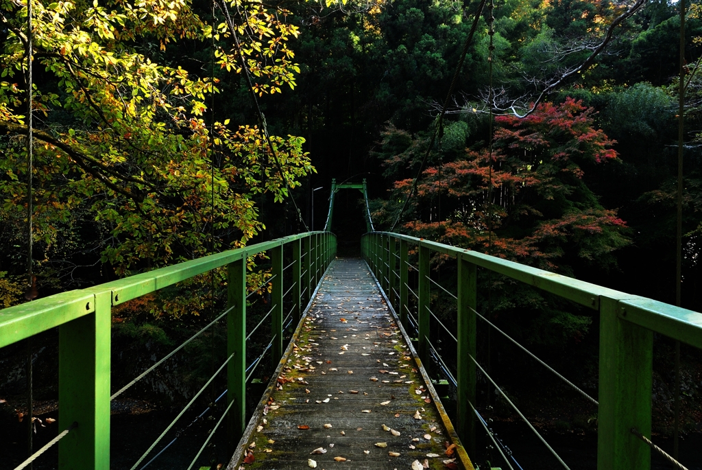 檜原村　～吊り橋～