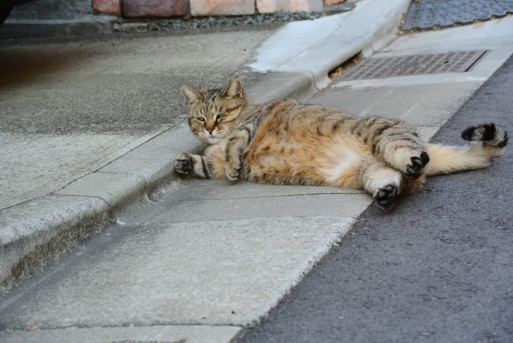 伸びきったあと