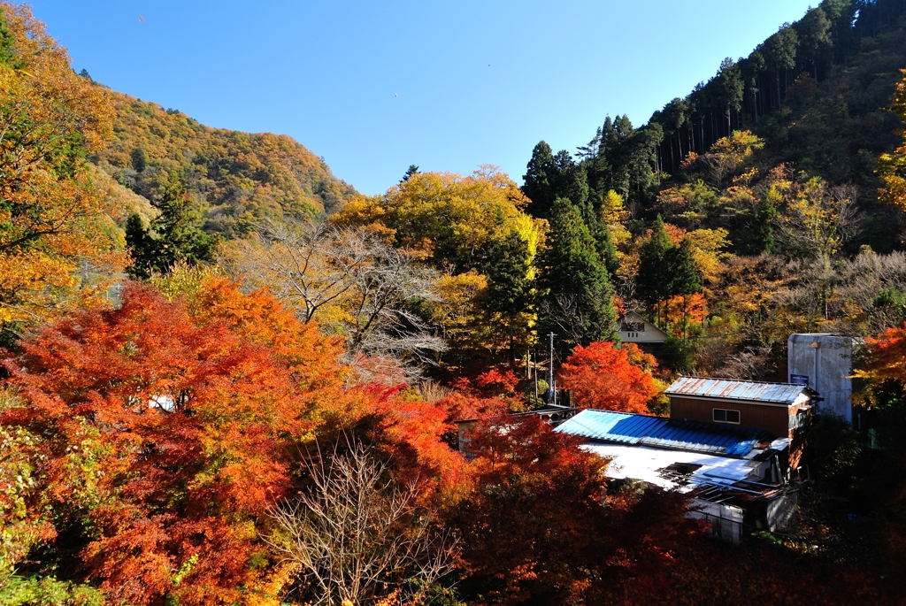 檜原村　～秋の色彩～