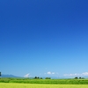 ただ広い空