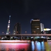 大江戸の色彩